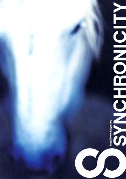 synchronicity'07 flyer